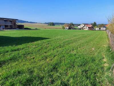 Grundstück provisionsfrei kaufen in 5251 Höhnhart