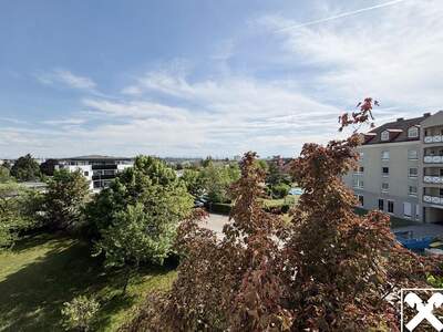 Gewerbeobjekt mieten in 4600 Wels (Bild 3)