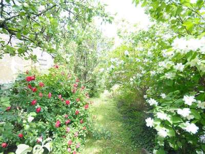 Terrassenwohnung kaufen in 3100 St. Pölten (Bild 5)