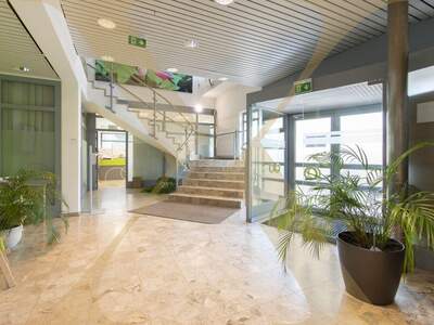 Gewerbeobjekt mieten in 4061 Pasching (Bild 1)