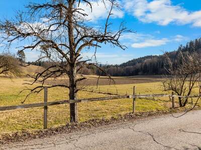 Haus mit Garten kaufen in 9063 Maria Saal (Bild 2)