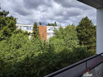 Terrassenwohnung kaufen in 2344 Maria Enzersdorf (Bild 2)