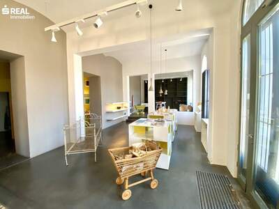 Gewerbeobjekt kaufen in 1050 Wien (Bild 3)