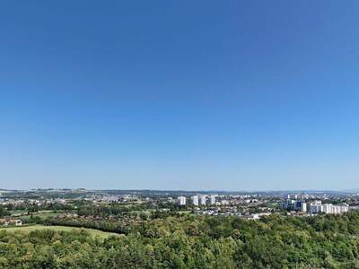 Haus kaufen in 4641 Steinhaus (Bild 4)