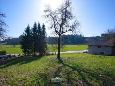 Grundstück kaufen in 4860 Lenzing