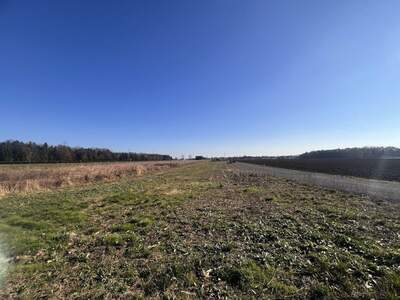 Gewerbeobjekt kaufen in 8423 Sankt Veit (Bild 1)