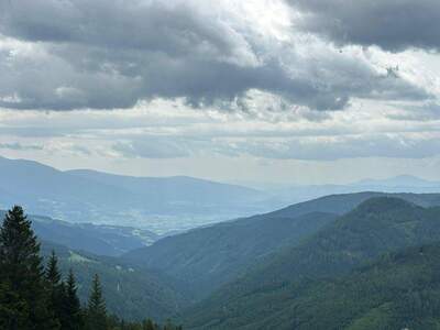 Grundstück kaufen in 9462 Wolfsberg