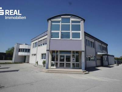 Lager kaufen in 2351 Wr. Neudorf (Bild 1)