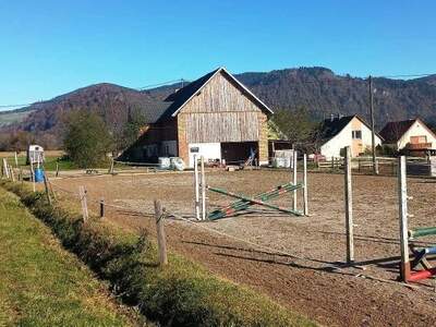 Gewerbeobjekt kaufen in 9371 Brückl