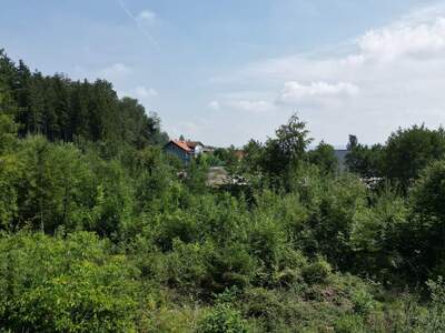 Grundstück kaufen in 5141 Moosdorf (Bild 5)