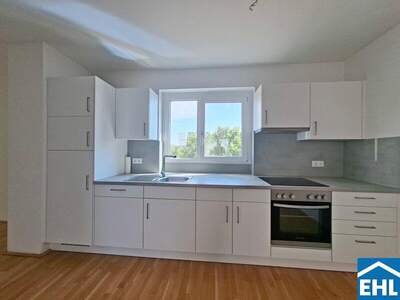 Terrassenwohnung mieten in 1020 Wien (Bild 3)