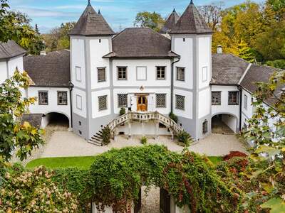 Schloss kaufen in 4693 Desselbrunn (Bild 2)