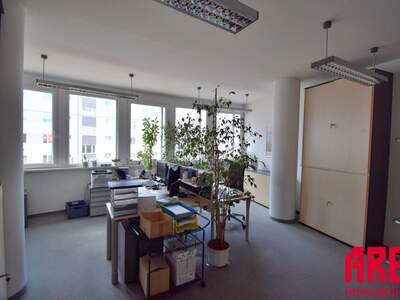 Gewerbeobjekt mieten in 4040 Linz (Bild 2)