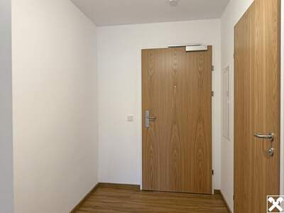 Wohnung mieten in 6900 Bregenz (Bild 5)