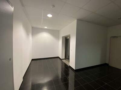 Gewerbeobjekt mieten in 1230 Wien (Bild 5)