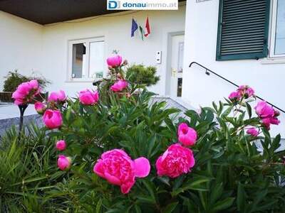 Haus kaufen in 8271 Bad Waltersdorf