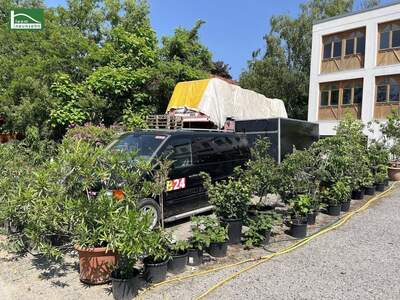 Gewerbeobjekt mieten in 7082 Donnerskirchen