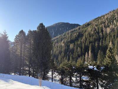 Ferienhaus kaufen in 9862 Innerkrems (Bild 4)