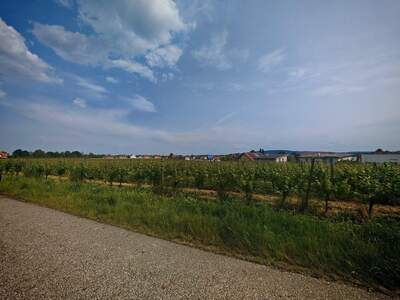 Gewerbeobjekt mieten in 3495 Rohrendorf