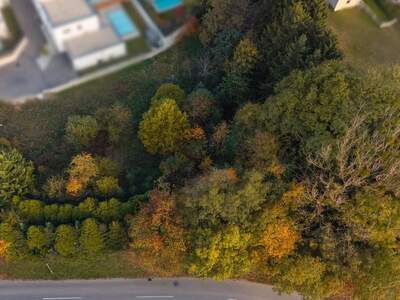 Grundstück kaufen in 4641 Steinhaus