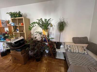 Wohnung mit Balkon mieten in 8010 Graz (Bild 3)