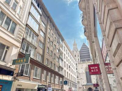 Eigentumswohnung in 1010 Wien