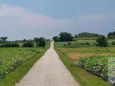 Gewerbeobjekt kaufen in 4072 Alkoven