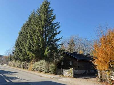 Grundstück kaufen in 6322 Kirchbichl