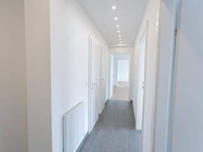 Wohnung provisionsfrei mieten in 1220 Wien