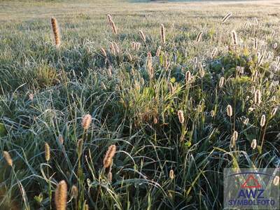 Gewerbeobjekt kaufen in 5212 Straßwalchen