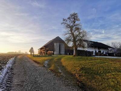 Haus provisionsfrei mieten in 5280 Braunau