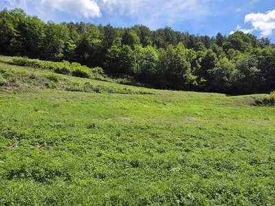 Grundstück kaufen in 8046 Stattegg