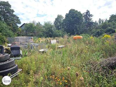 Grundstück kaufen in 2230 Gänserndorf