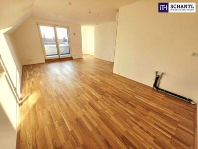 Terrassenwohnung kaufen in 1220 Wien (Bild 2)