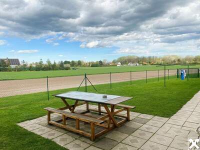 Anlageobjekt kaufen in 2493 Eggendorf (Bild 4)