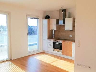 Terrassenwohnung mieten in 1220 Wien (Bild 2)