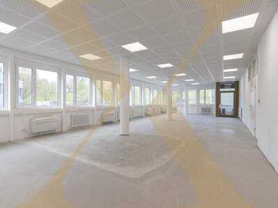Gewerbeobjekt mieten in 4020 Linz (Bild 1)