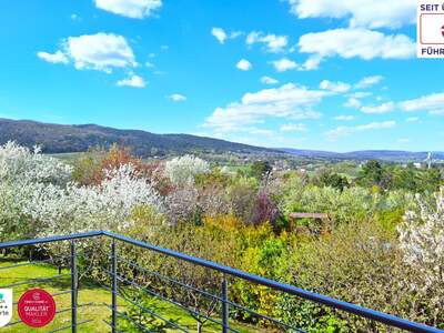 Einfamilienhaus kaufen in 2340 Mödling (Bild 1)