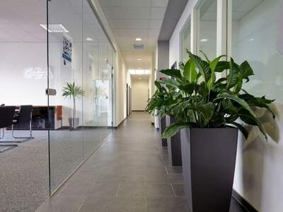 Gewerbeobjekt mieten in 1230 Wien (Bild 4)