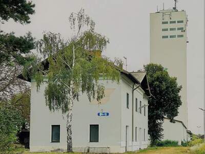 Haus kaufen in 2054 Haugsdorf