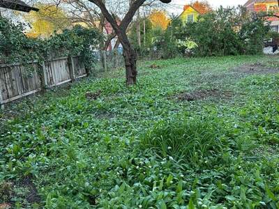 Grundstück kaufen in 1220 Wien