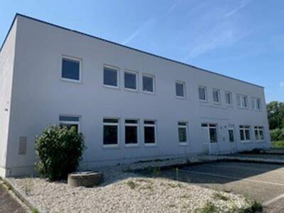 Gewerbeobjekt mieten in 4910 Ried (Bild 2)