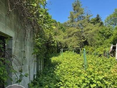 Grundstück kaufen in 2500 Baden (Bild 4)