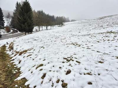 Gewerbeobjekt kaufen in 3233 Kilb