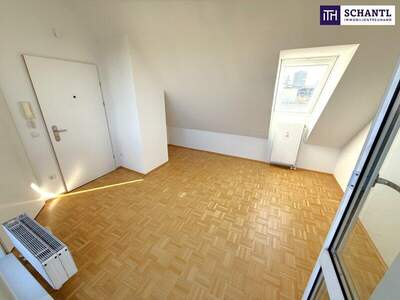 Terrassenwohnung mieten in 1200 Wien (Bild 4)