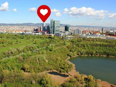 Etagenwohnung provisionsfrei kaufen in 1100 Wien