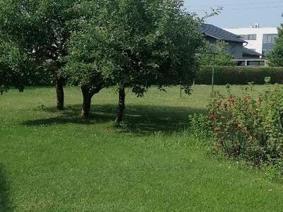 Grundstück kaufen in 4614 Marchtrenk