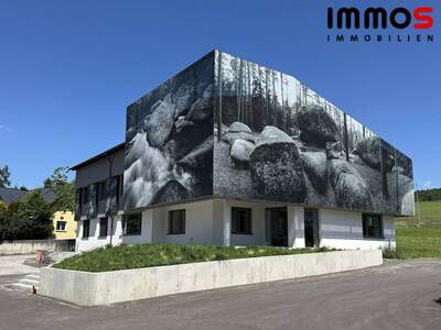 Gewerbeobjekt mieten in 4210 Gallneukirchen
