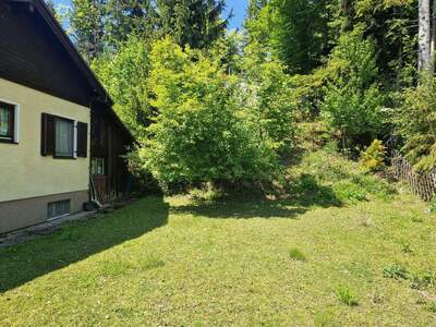 Haus mit Garten kaufen in 2724 Maiersdorf (Bild 3)