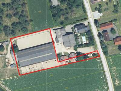 Grundstück kaufen in 8141 Premstätten (Bild 5)